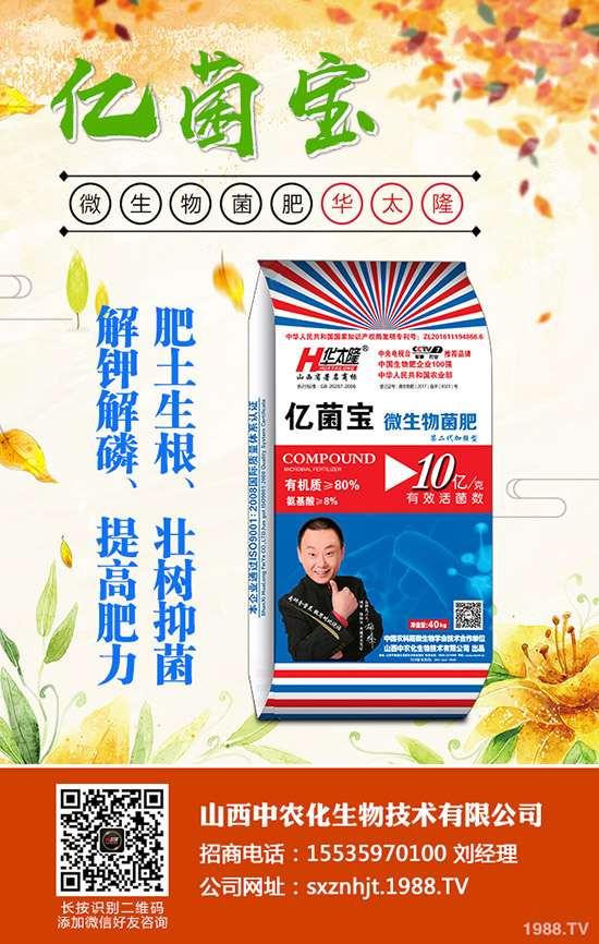     ���@�r(ji��)���Դ�С���»����g��2019��12�µ�������@���������