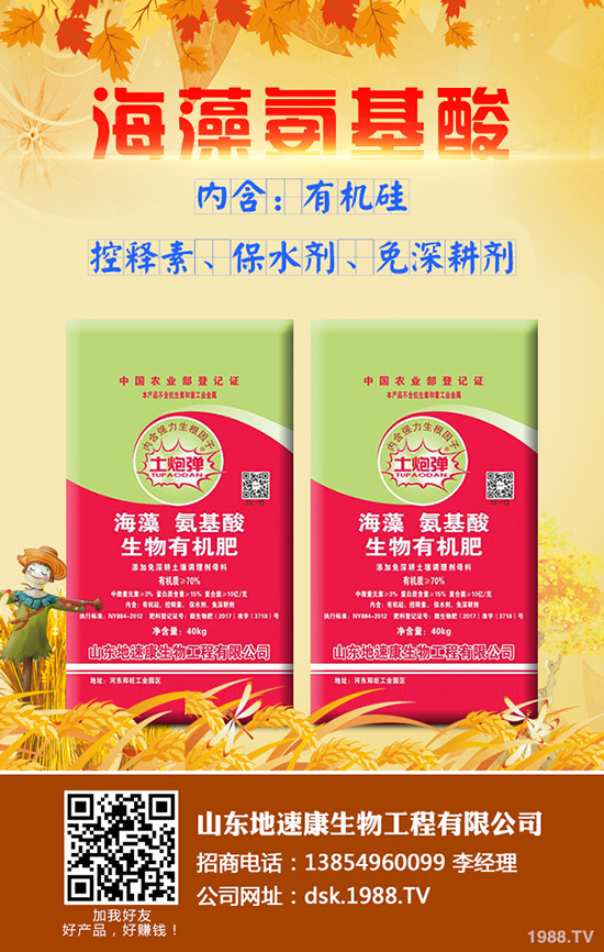     2020�괺��(ji��)���@���֏S(ch��ng)��ͣ܇(ch��)��������������һ�@�����(b��o)�r(ji��)��