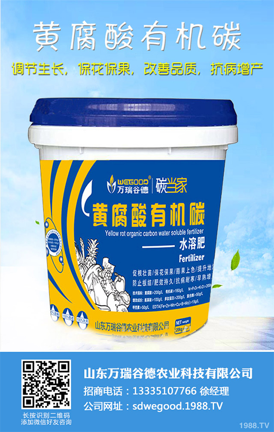 ħ��r(ji��)������Xһ����2020��ħ��Nֲ���Ј�(ch��ng)����