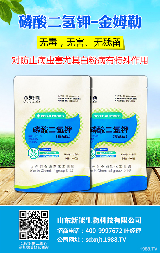 ħ��r(ji��)������Xһ����2020��ħ��Nֲ���Ј�(ch��ng)����