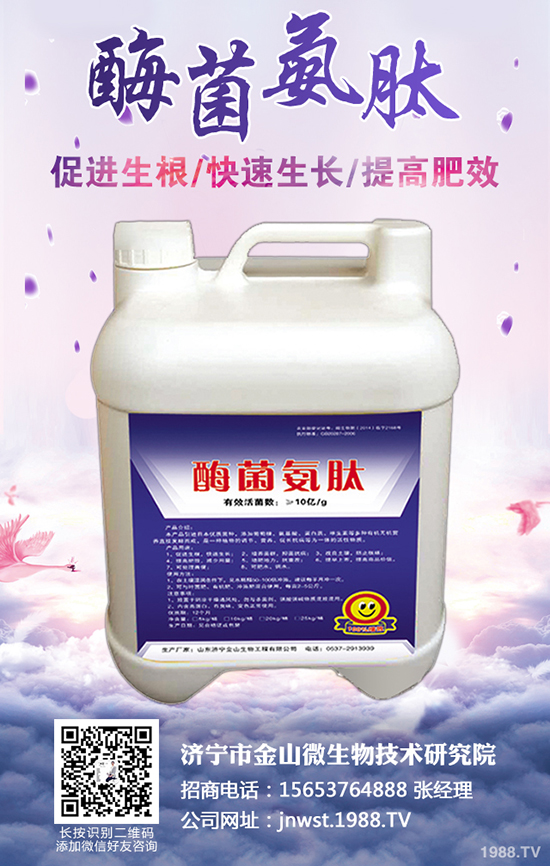 �r(n��ng)����ʺ�����ô�l(f��)������ʩ������α���ʺ��l(f��)����