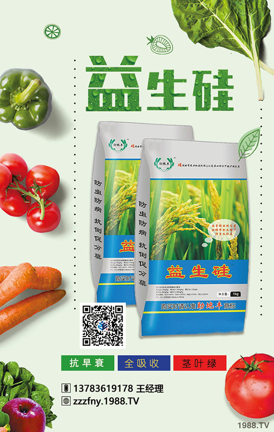 ��������O�����Ϸʼ��g(sh��)���@���c(di��n)��W(xu��)�������a(ch��n)������