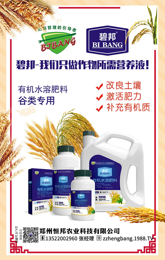 ����������Щ��̎������Ĺ�Ч���ü�ʳ�ý���