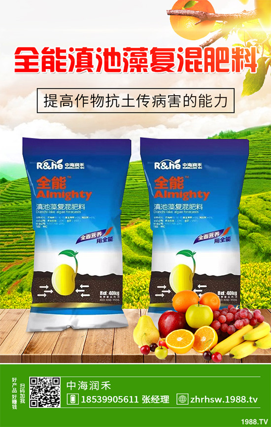 ���r����͸���������Щ�^(q��)�e���ǂ�Ч��������