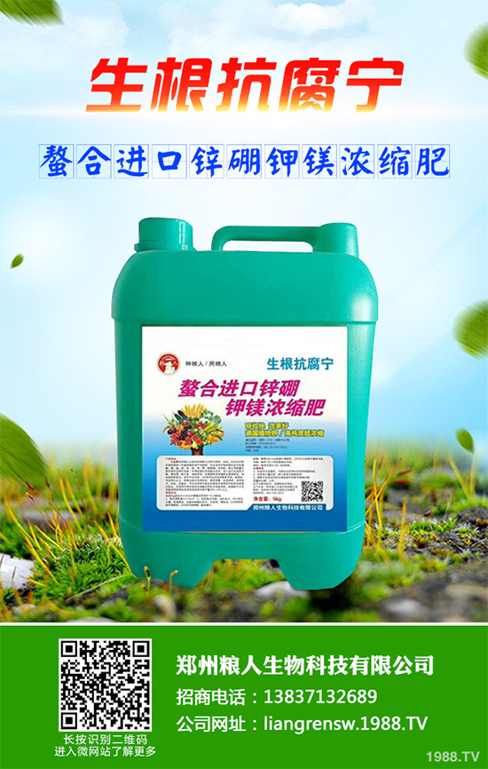 ���r����͸���������Щ�^(q��)�e���ǂ�Ч��������