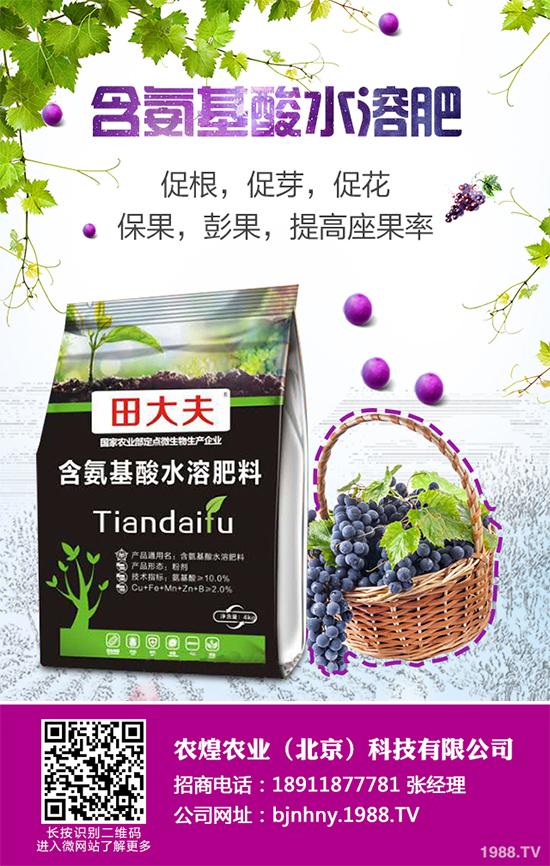 ��ѩ�^�����߲˴�����֪��ԓ��ô�������