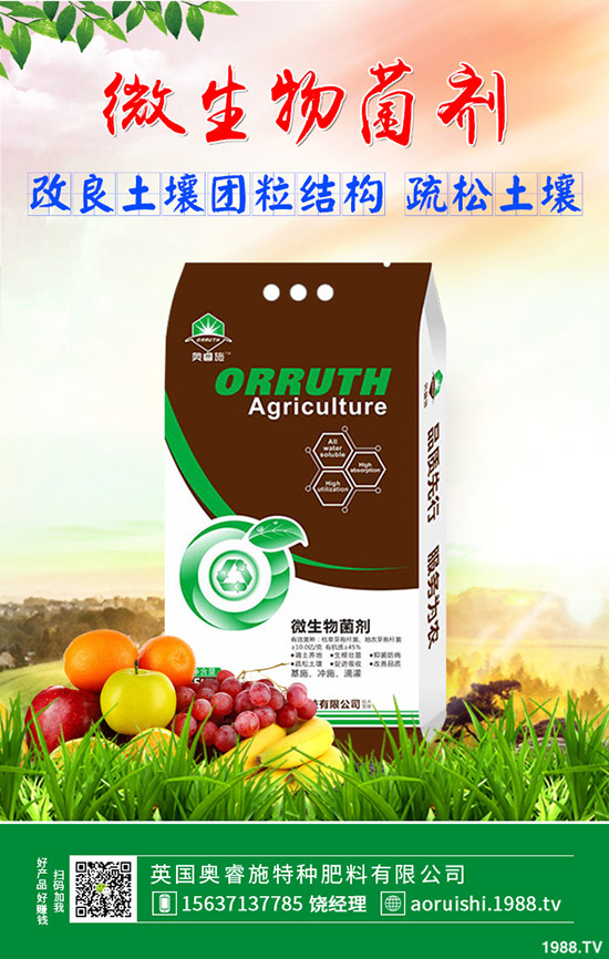     2020��(f��)�Ϸʃr(ji��)���(hu��)�ϝqô�������Xһ����12��30�ս�������(f��)�Ϸʈ�(b��o)�r(ji��)��