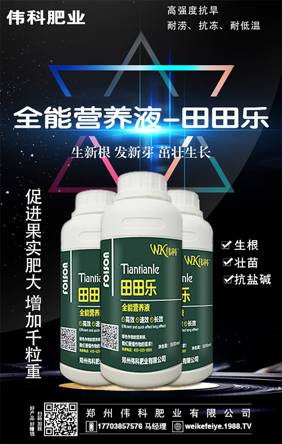     ���ӵĠI�B(y��ng)�r(ji��)ֵ����Щ����Ч�c��������Щ��������Щ��Ⱥʳ�ã�