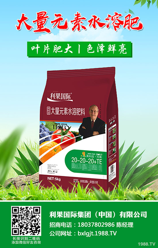 ���FƤʯ����ʲô��̎���FƤʯ���Ĺ�Ч�c��������Щ