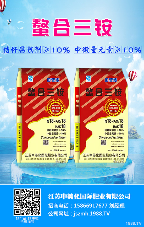 越冬菠菜什么時候種植?越冬菠菜種植技術(shù)和方法!