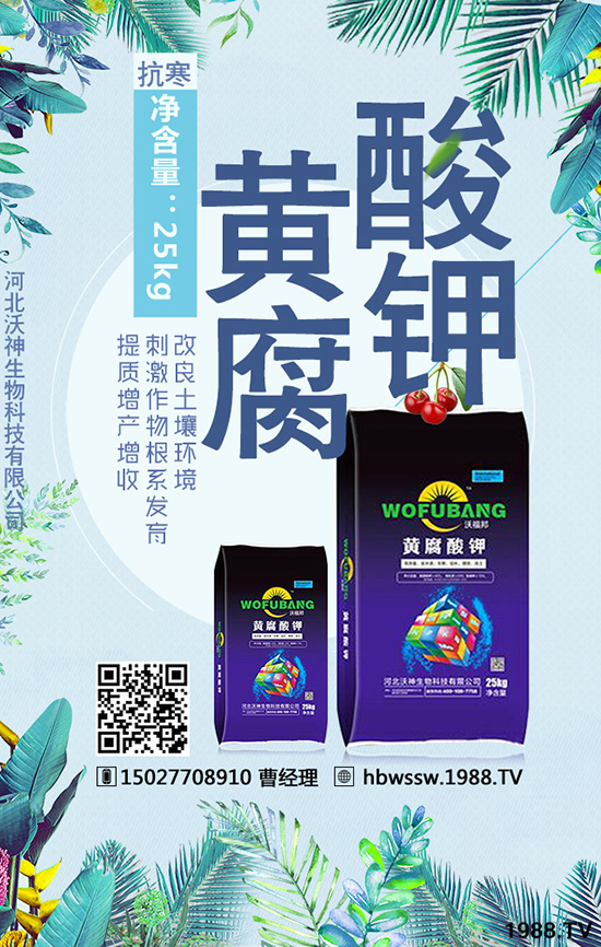 ��������Ч�ı��|(zh��)�چ�����������c(di��n)�M(j��n)�������a(ch��n)����