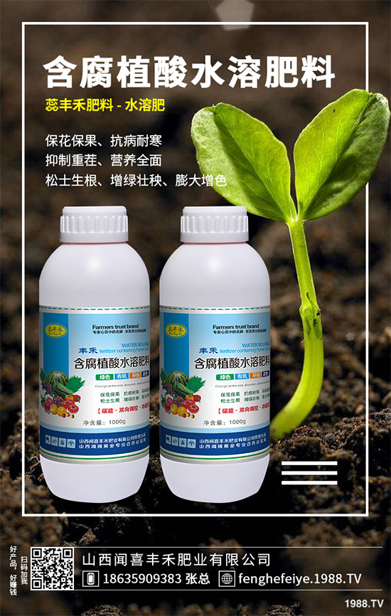 盆栽蔬菜該怎么種？盆栽蔬菜的高產(chǎn)種植技術(shù)