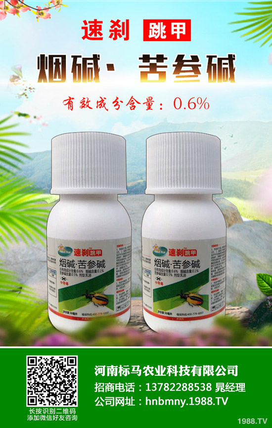 Ӱ��Ҳݰ�ˎЧ����������Щ���Ҳݰ������_ʹ�÷���