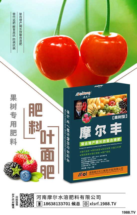 �S���Nֲ���ג겻���X���S���NֲҪ�c������