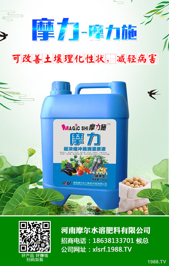 �����ʲô���Ϻã����ʩ�ʼ��g(sh��)����Щ��