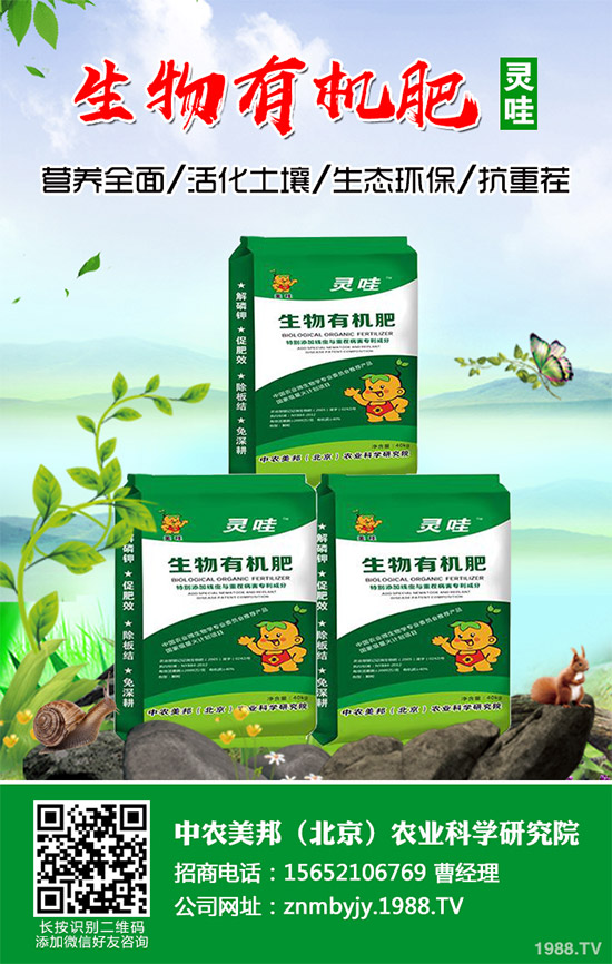 ��֪��ʲô�����E�������E��Ŷ����Xһ�����������