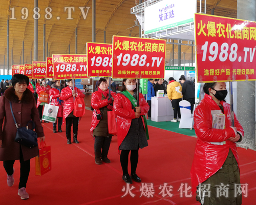     2019�ӱ�ֲ�����ϵĻ��r(n��ng)�����̾W(w��ng)