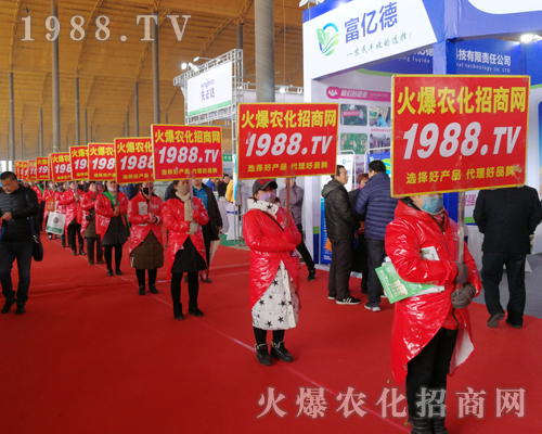     2019�ӱ�ʯ���fֲ�����ϻ��r(n��ng)���W(w��ng)��Ӣ�ɳ�������(zh��n)����