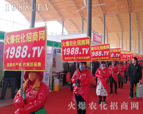     ���r(n��ng)�����̾W(w��ng)��2019�ӱ�ʯ���fֲ�����ϻ���ȫ�_��