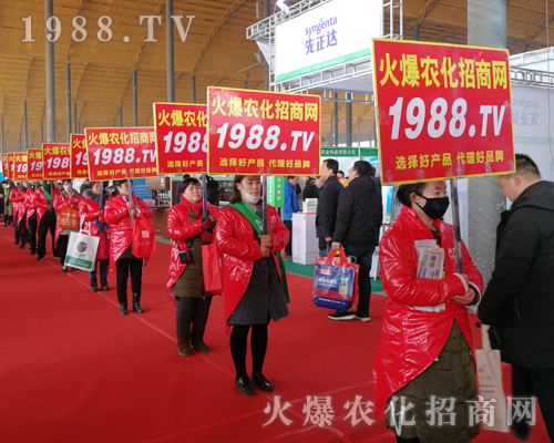     2019��30�úӱ�ֲ����(hu��)�����r(n��ng)���W(w��ng)Ҋ(ji��n)�C�ИI(y��)ʢ��(hu��)�ل�(chu��ng)�ѿ�(j��)��