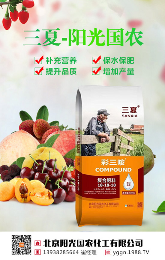 2019��8��22�ս��Շ������؃r�������߄��A�y�C���u��