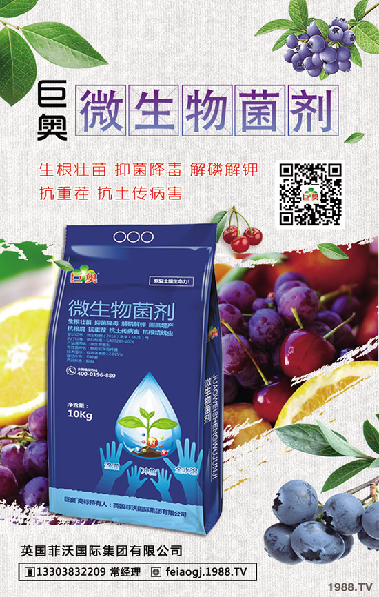 2019��8��22�ս��Շ���(n��i)���؃r(ji��)�������߄��A(y��)�y�C���u��