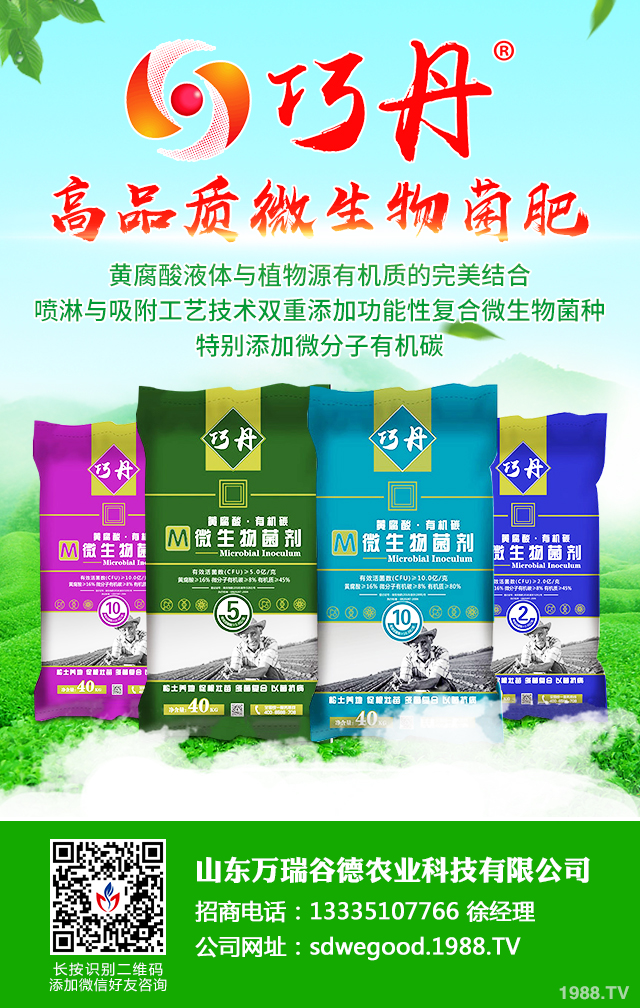 �z����˥��ô����Ч�������z����˥���η���