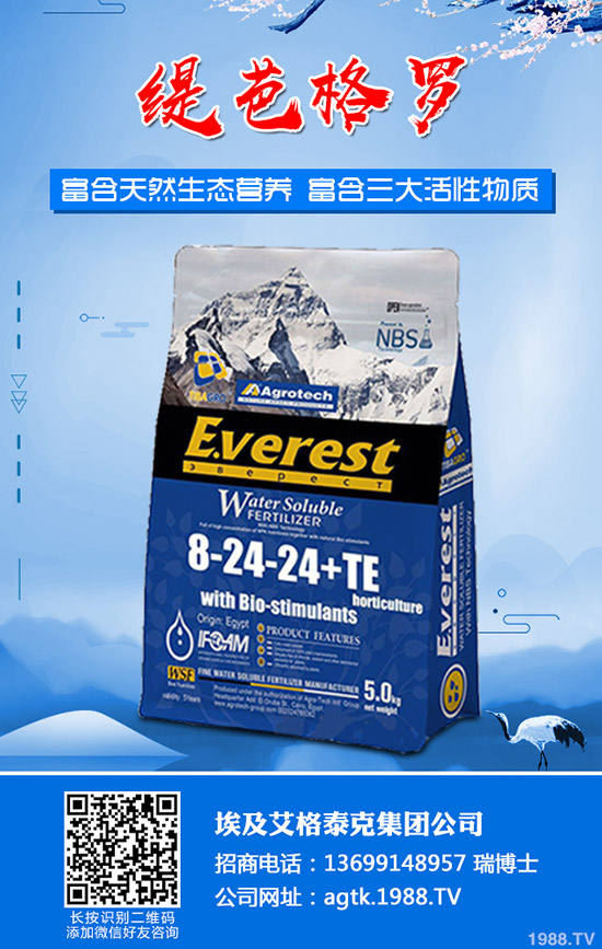 ����ʲô�r(sh��)�g�������������緽��