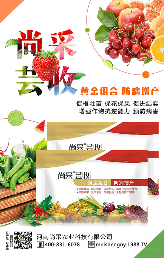 ����(sh��)�����ʵ͵�ԭ����ʲô��������(sh��)�����������ʣ�