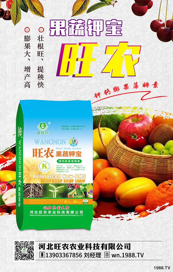 ��������ķNֲ�r(sh��)�g������������������Ҫ�c(di��n)����Щ��