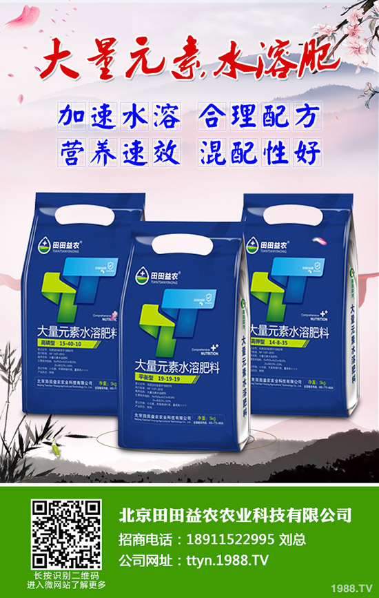     2019��8��24�գ����������Ȼ�⛃r(ji��)����?q��ng)?b��o)��⛷���I(y��)���S�����r(ji��)һ�[