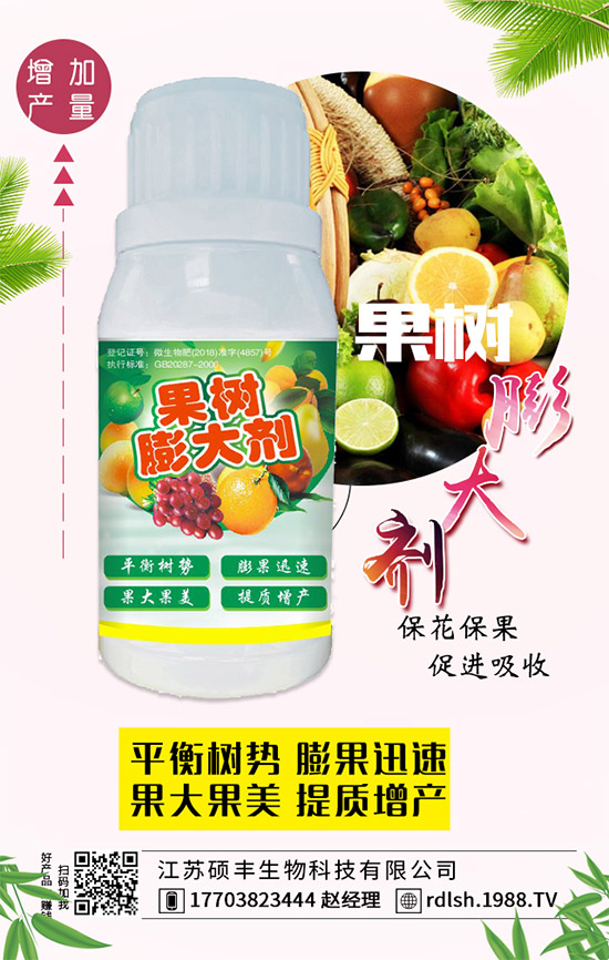黑木耳的功效與作用，黑木耳的飲食禁忌有哪些？