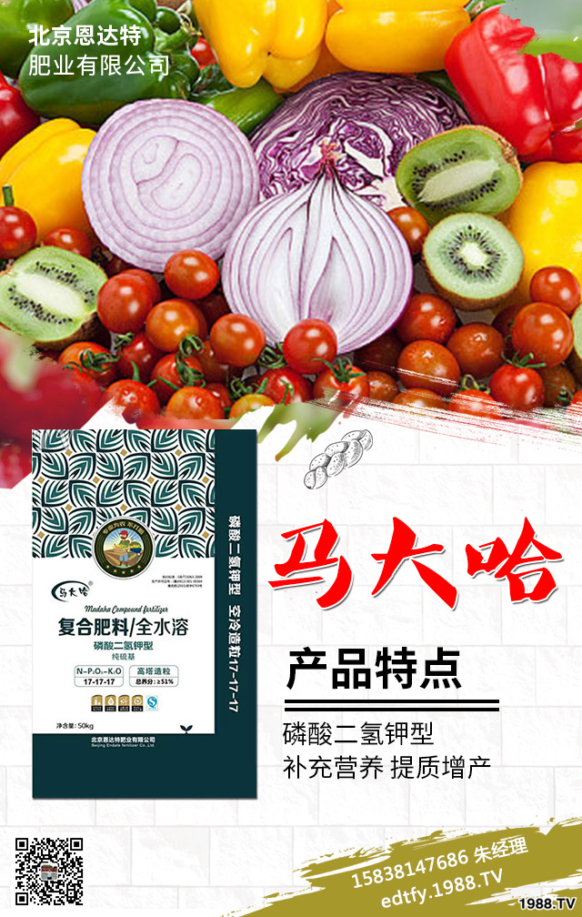 �����߲�ʩ���д�����Щ���}�������߲˷Nֲ���g(sh��)