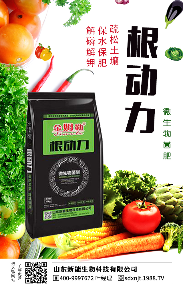 �R��������������νo�R���ʩ����