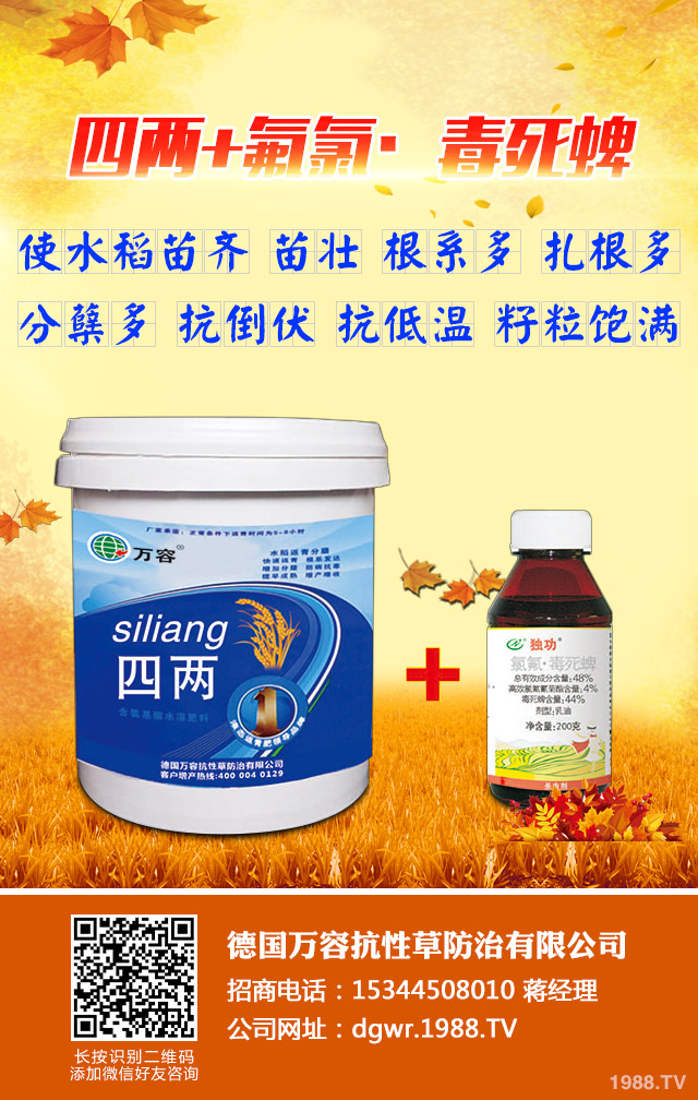 ��������݄�������Щ����������݄���B