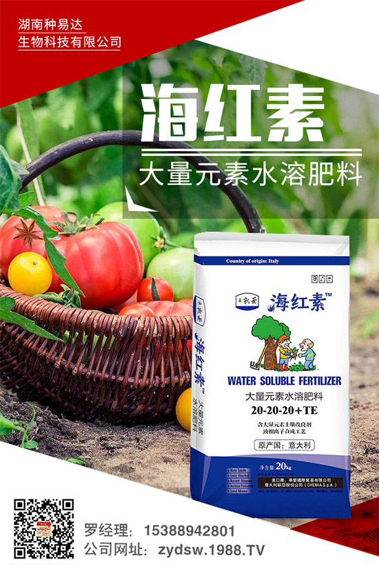 �＾��ݮ��ô�����＾�����ݮ�ĸ߮a(ch��n)���༼�g(sh��)���h(hu��n)��Ҫ��