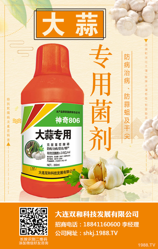 ��������ʲôԭ�t���������������ΰ�ԭ�t