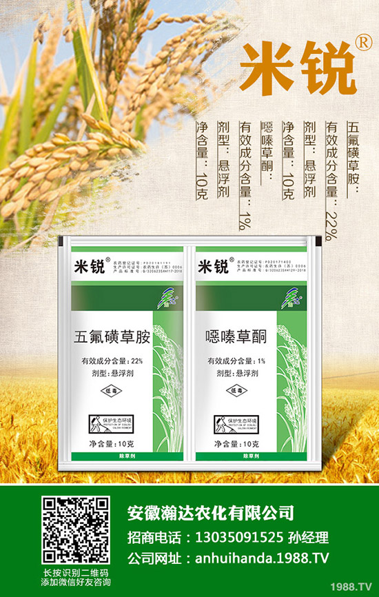 �Բ�������Щ��̎�����˵ĠI(y��ng)�B(y��ng)�r(ji��)ֵ����Щ��