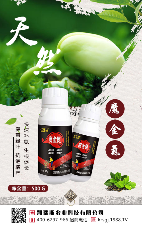 ���@��׷�����󶹸߮a(ch��n)����