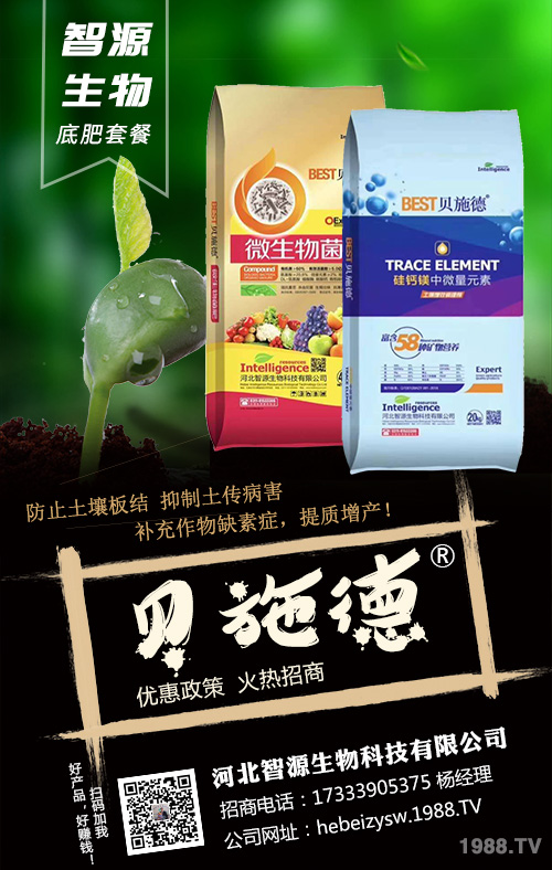 �Nֲ��횿������ǻ�����׷��ʩ�ʷ���