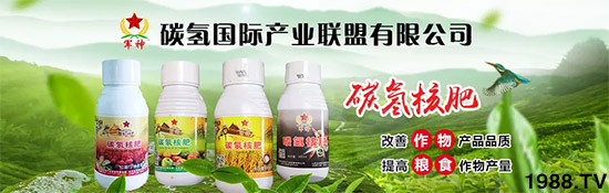 �ϰټ�ý�w��������쳬�^�W��ʳƷ�˜����̼��˷ʾ����@ô����