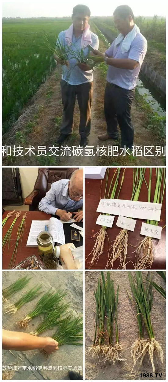 �ϰټ�ý�w��������쳬�^�W��ʳƷ�˜�������̼��˷ʾ����@ô����