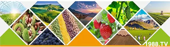 �����������L���߉��£����ͷ���Ѹ������������ƌW(xu��)���L���g�޴�