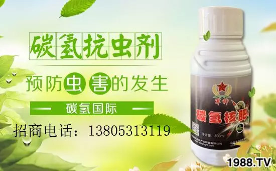 �����������L���߉��������ͷ���Ѹ������������ƌW(xu��)���L���g�޴���