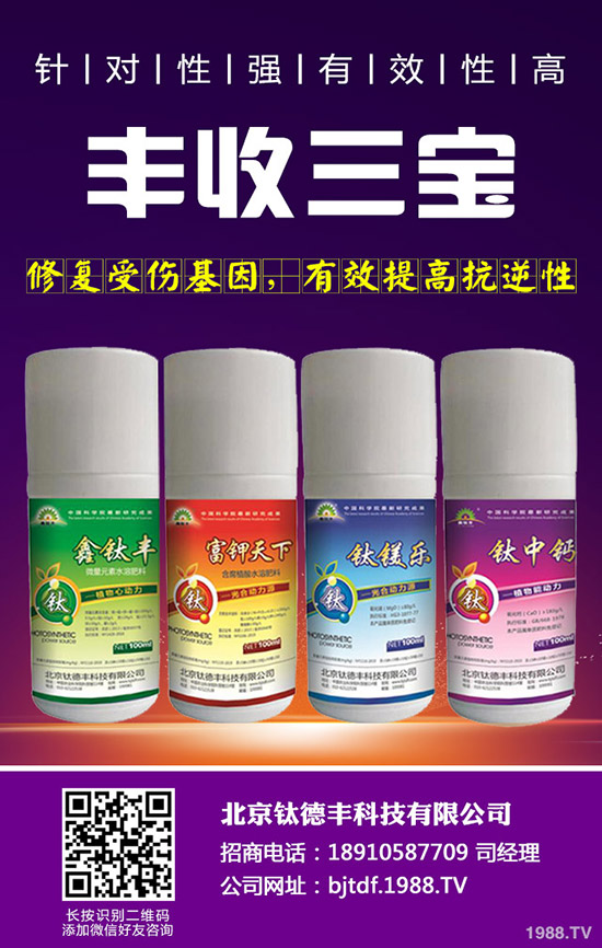 �������ʩ�ʲ��ܸ߮a(ch��n)������߮a(ch��n)ʩ�ʼ��g(sh��)��