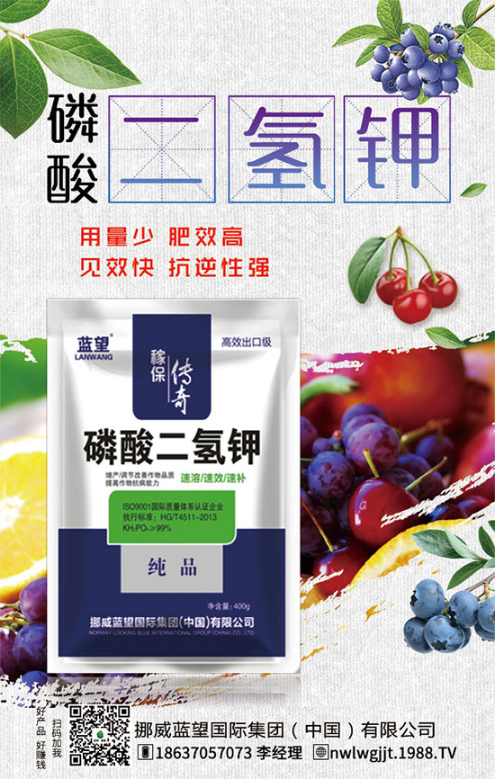 ������t����ֲע�������������t������ڹ�������