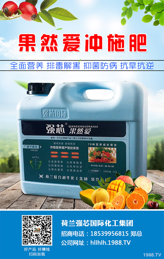 ��˷Nֲ��Ҫע��ʲô����˸�Ч�Nֲ���g(sh��)���������