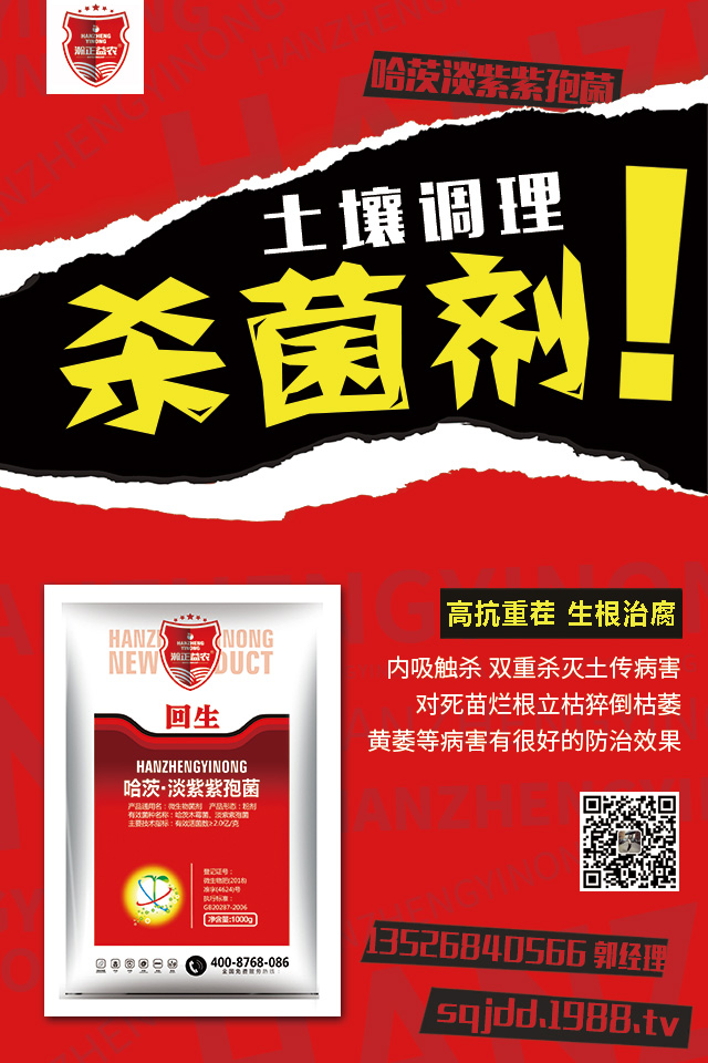 ��������������ô�k�����Ӽ޽ӿɱ�����������