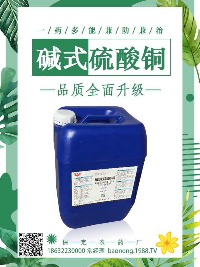 ��������������ô�k�����Ӽ޽ӿɱ�����������