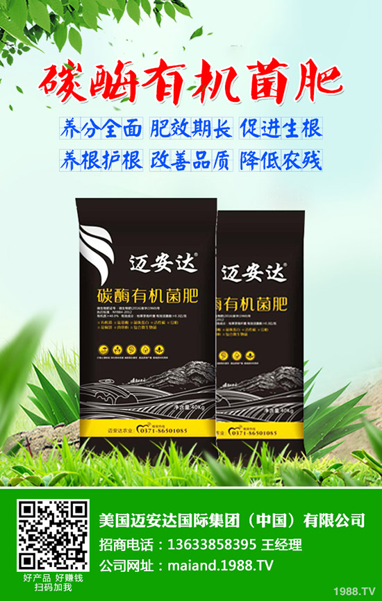 ����ʲô�r��N���������N��(y��ng)ע����Щ���}��